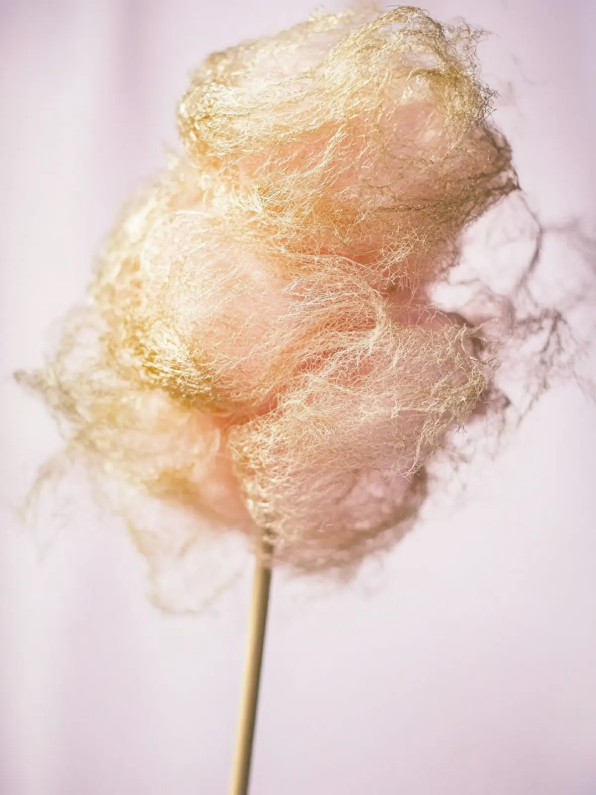 Cotton Candy
